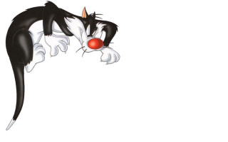 Black white cat red nose - its eye free wallpaper