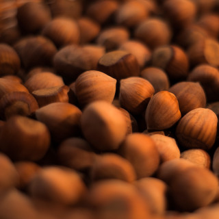 Nuts table blurry background macro - boetius adamsz bolswert free wallpaper for tablet