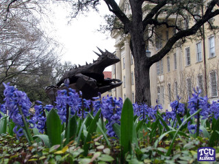 Dragon statue garden blue flowers - balcomb greene free wallpaper