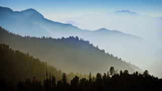 Mountain range trees fog blue - volumetric fog free wallpaper