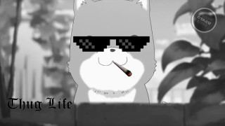 Cat sunglasses cigarette cartoon style - a cartoon style free wallpaper