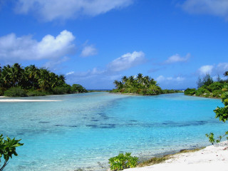 Tropical island palm trees blue 3 - blue water free wallpaper