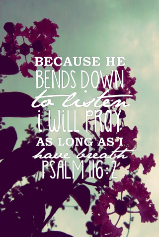 Tree bible verse sky background - a bible verse free wallpaper for mobile