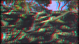 Bird flying lush green forest 3 - chromatic aberration free wallpaper