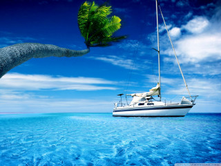 Boat floating water palm tree - water next free wallpaper