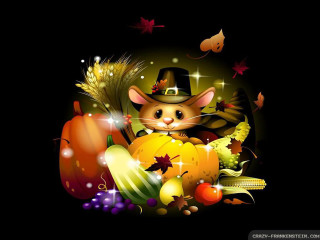 Cat hat autumn leaves pumpkins - autumn free wallpaper for desktop