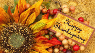 Sunflower thanksgiving card autumn decorations - a sunflower free wallpaper
