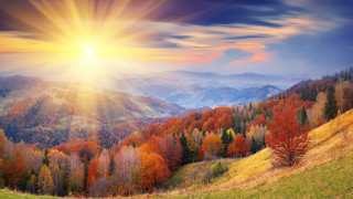 Sunset mountain range colorful trees 2 - a beautiful sunset over a mountain range free wallpaper for desktop