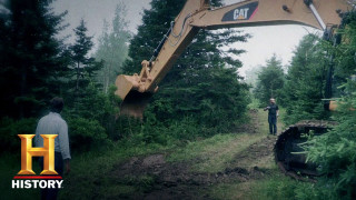 Man forest bulldozer tree night - a forest next free wallpaper for desktop