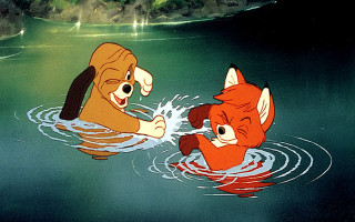 Fox dog swimming lake forest - a forest in the background free wallpaper