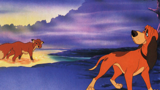 Dog cat lion mouse scene - a dog and a cat free wallpaper