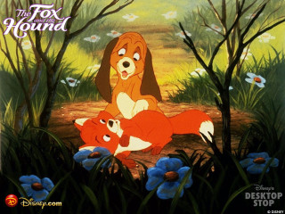 Cartoon dog fox forest flowers - flower and grass free wallpaper