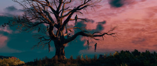 Leafless tree pink blue sky - edward otho cresap ord ii free wallpaper