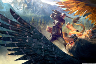 Man riding bird next to - game art free wallpaper for desktop