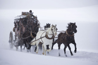 Horse carriage snow field matte - two horse free wallpaper