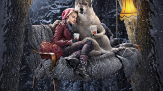 Woman wolf coffee chair sitting - a wolf free wallpaper for desktop