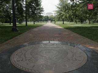 Brick walkway circular medallion park - tree and grass free wallpaper