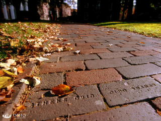Brick path leaf yard house - ann thetis blacker free wallpaper for desktop