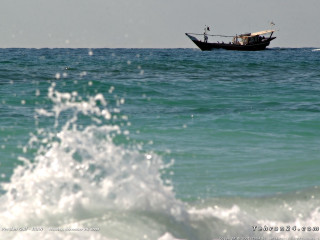 Boat ocean wave bird sailing - front of it free wallpaper for desktop