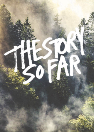 Forest the story so far - free seasons wallpaper for mobile