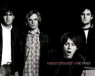 Young men black background vines - bradley walker tomlin free wallpaper