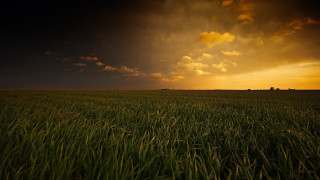 Field grass sky clouds sunbeam - a sky in the background free wallpaper for desktop