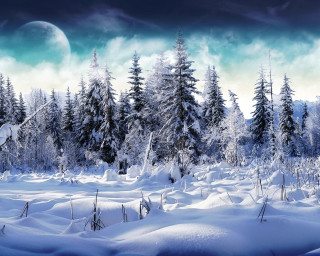 Snowy landscape trees moon sky 3 - space art free wallpaper