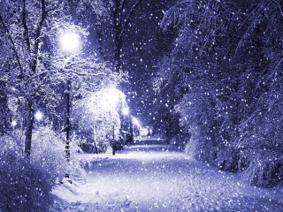 Snowy path moonlight aurora fireflies - both side of it free wallpaper