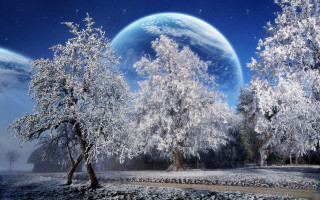 Snow covered forest blue moon - a.b. frost free wallpaper for desktop