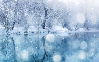 Snowy scene lake trees snow - a lake and trees free wallpaper