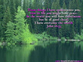 Lake trees quote john 6 - a lake free wallpaper