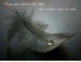 Feather quote inspiration beautiful artistic - a feather free wallpaper