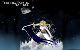 Woman white dress sword full - carl rahl free wallpaper