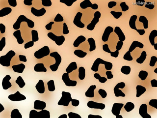 Leopard print pattern brown background - black spot free wallpaper