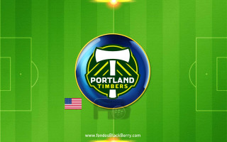 Green bull logo flag gradient - flag free wallpaper