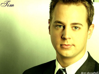 Man suit tie posing picture 38 - shaded free wallpaper for desktop