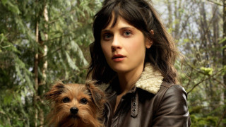 Woman dog forest magical realism - a small dog free wallpaper for desktop