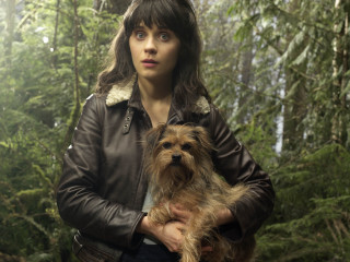 Woman leather jacket dog forest - a leather jacket holding free wallpaper