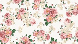 Floral pattern pink white flowers - a floral pattern free wallpaper