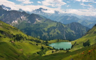 Mountain lake grass flowers blue - green grass free wallpaper