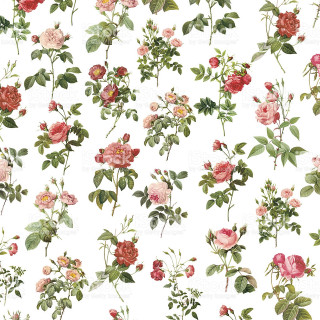 White background flower pattern royalty - a silk screen free wallpaper for tablet