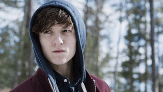 Young man hoodie forest serious - a forest free wallpaper