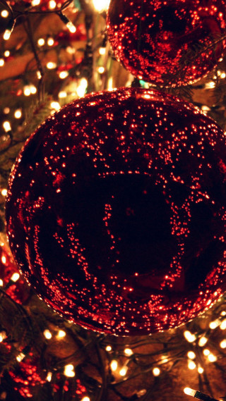Christmas tree red ball lights - the bottom of it free wallpaper