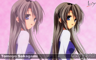 Anime girls long hair blue 11 - sakimi chan free wallpaper for desktop