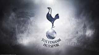 Tottenham logo dark background fog - a spotlight free wallpaper