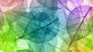 Colorful abstract background leaf structure - a colorful abstract background free wallpaper