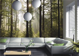 Living room couch table forest - lantern free wallpaper