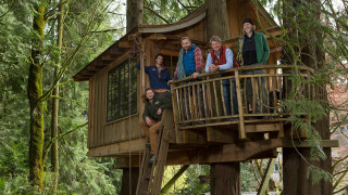 Tree house group people woods - the deck free wallpaper