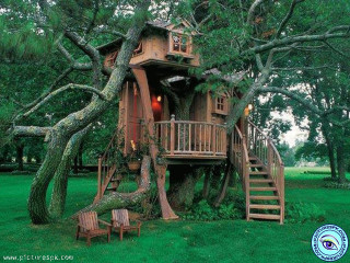 Tree house staircase yard chair - betye saar free wallpaper