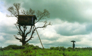 Man treehouse ecological art matte - a lush green field under a cloudy sky free wallpaper